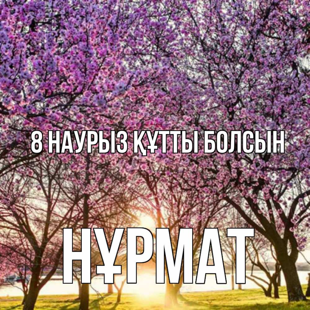 Күн сайын ашық хат с именем, Нұрмат 8 наурыз құтты болсын международный женский день Онлайн тегін жүктеп алу тілектері бар керемет карта 