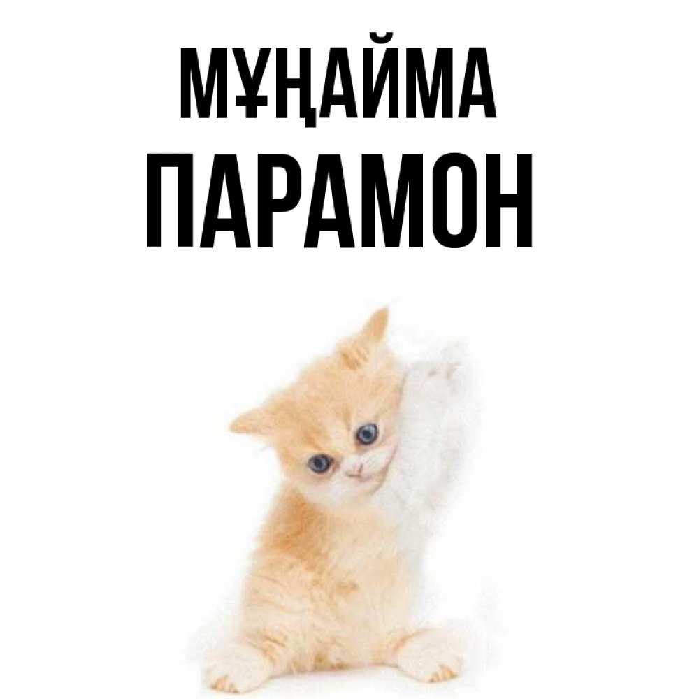 Күн сайын ашық хат с именем, Парамон Мұңайма просящий кот Онлайн тегін жүктеп алу тілектері бар керемет карта 