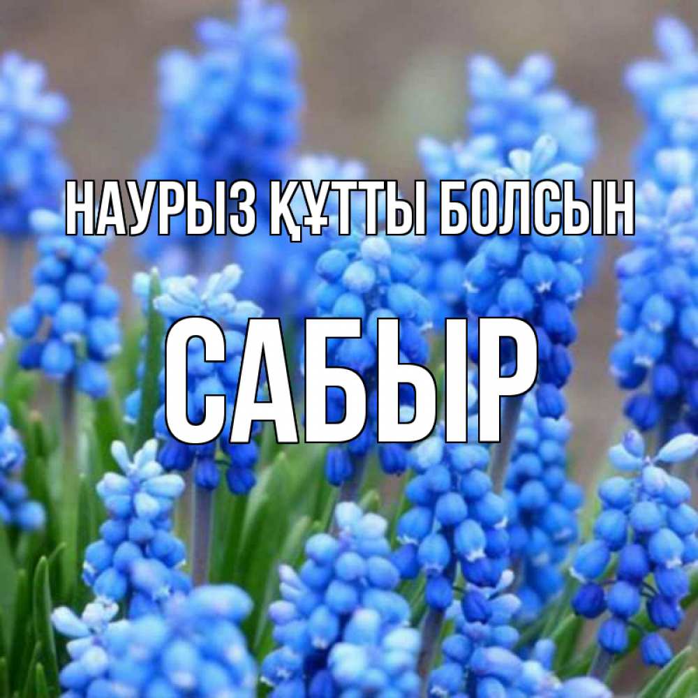 Күн сайын ашық хат с именем, САБЫР Наурыз құтты болсын Поздравительная открытка для женщин с цветами на праздничную дату Онлайн тегін жүктеп алу тілектері бар керемет карта 