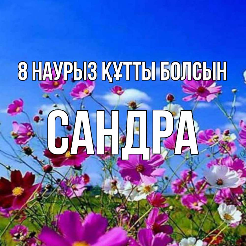 Күн сайын ашық хат с именем, Сандра 8 наурыз құтты болсын цветы Онлайн тегін жүктеп алу тілектері бар керемет карта 