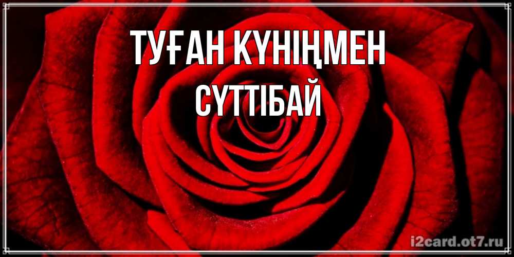 Күн сайын ашық хат с именем, СҮТТІБАЙ Туған күніңмен алая роза Онлайн тегін жүктеп алу тілектері бар керемет карта 