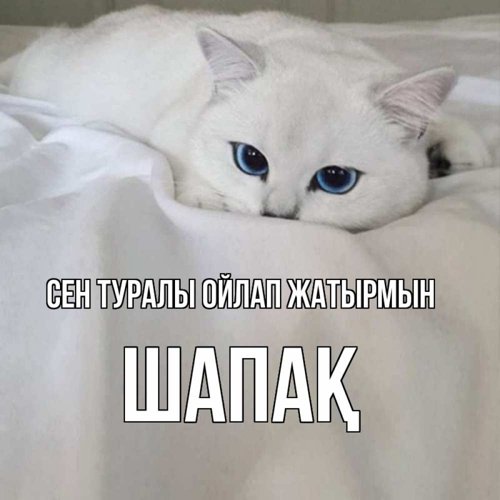 Күн сайын ашық хат с именем, ШАПАҚ Сен туралы ойлап жатырмын я очень по тебе скучаю и тоскую Онлайн тегін жүктеп алу тілектері бар керемет карта 