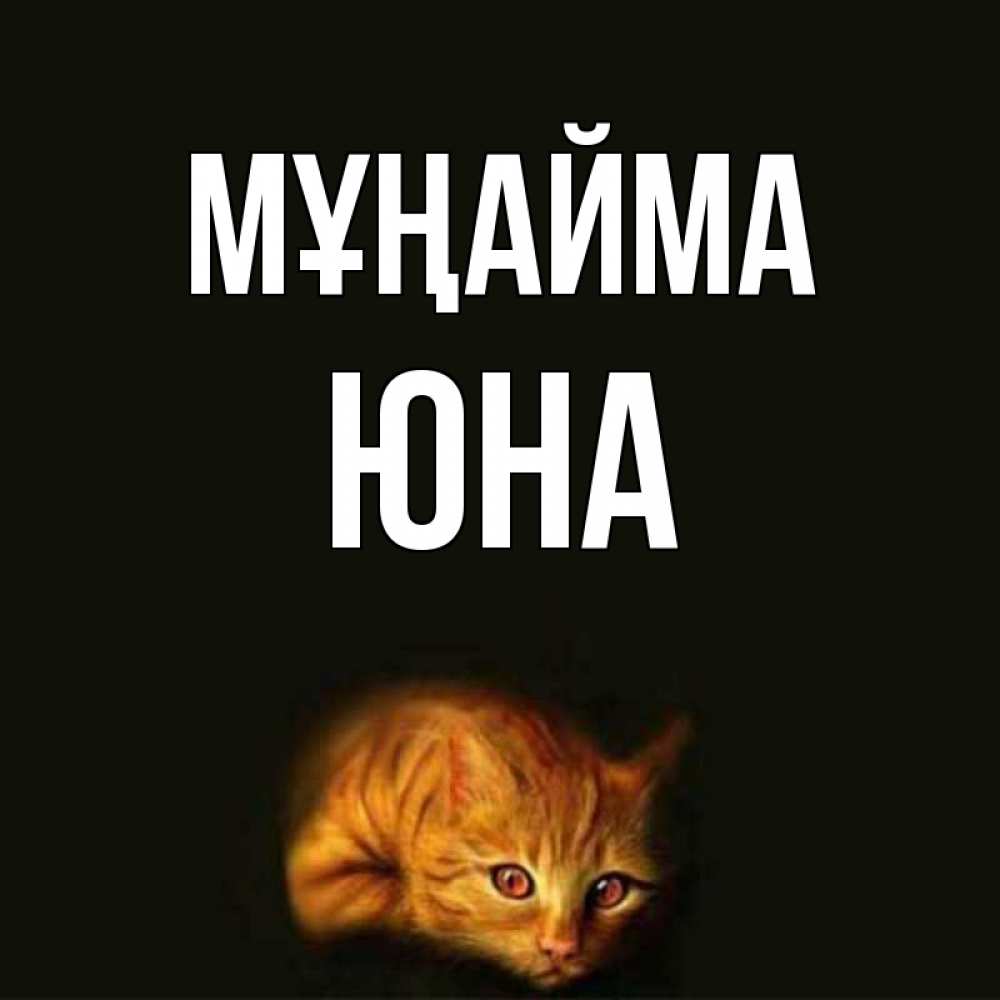 Күн сайын ашық хат с именем, Юна Мұңайма лежащий кот в темноте Онлайн тегін жүктеп алу тілектері бар керемет карта 