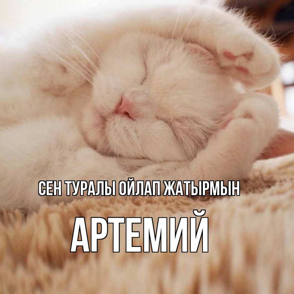 Күн сайын ашық хат с именем, Артемий Сен туралы ойлап жатырмын для любимой девушки милота Онлайн тегін жүктеп алу тілектері бар керемет карта 
