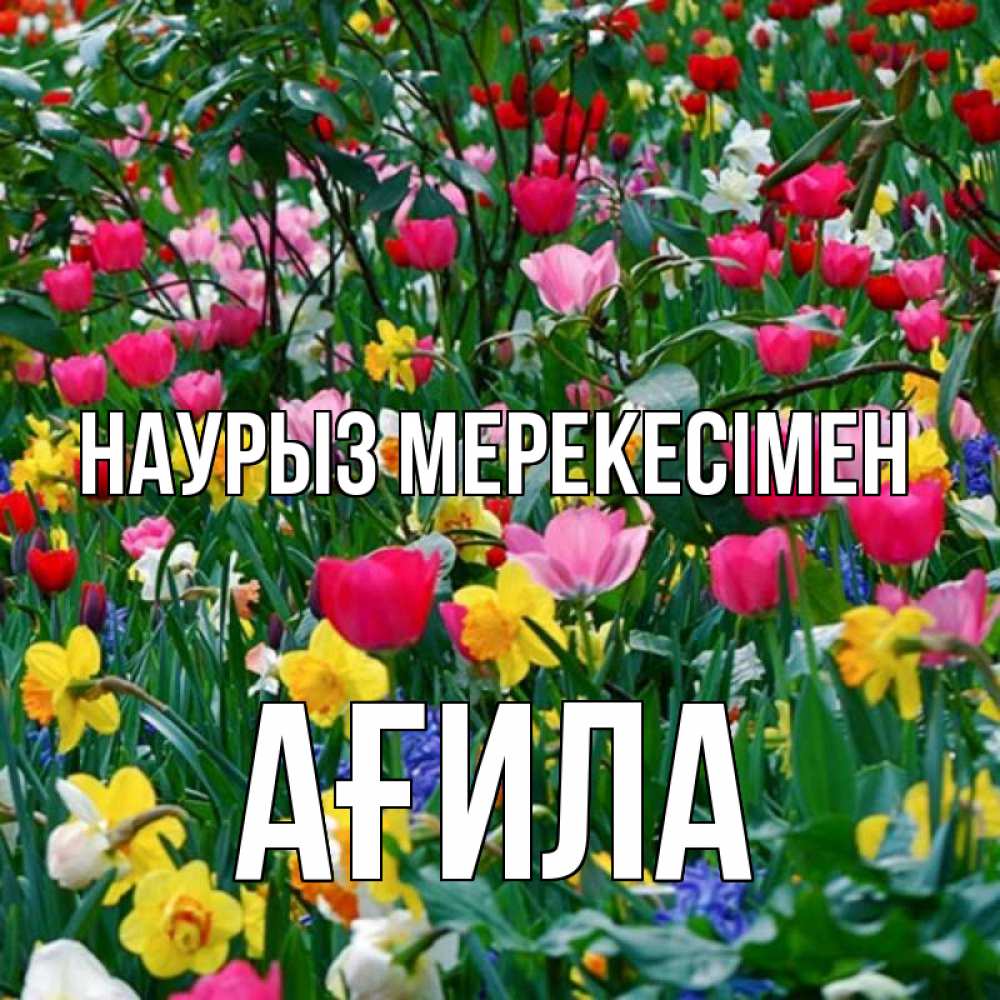 Күн сайын ашық хат с именем, АҒИЛА Наурыз мерекесімен с наурызом праздником весны поздравления для женщины Онлайн тегін жүктеп алу тілектері бар керемет карта 