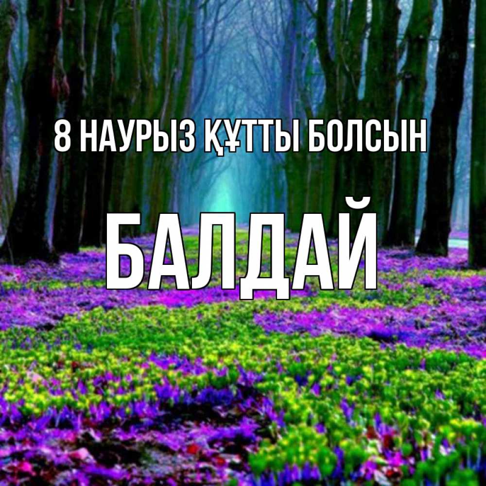 Күн сайын ашық хат с именем, БАЛДАЙ 8 наурыз құтты болсын фиолетовые цветы в лесу 1 Онлайн тегін жүктеп алу тілектері бар керемет карта 