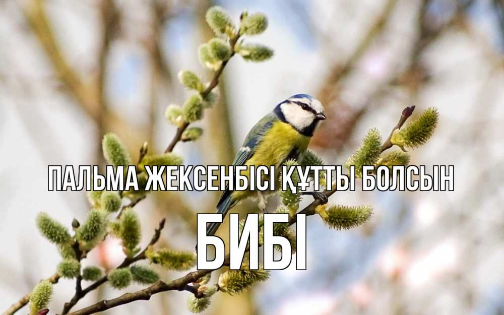 Күн сайын ашық хат с именем, БИБІ Пальма жексенбісі құтты болсын верба Онлайн тегін жүктеп алу тілектері бар керемет карта 