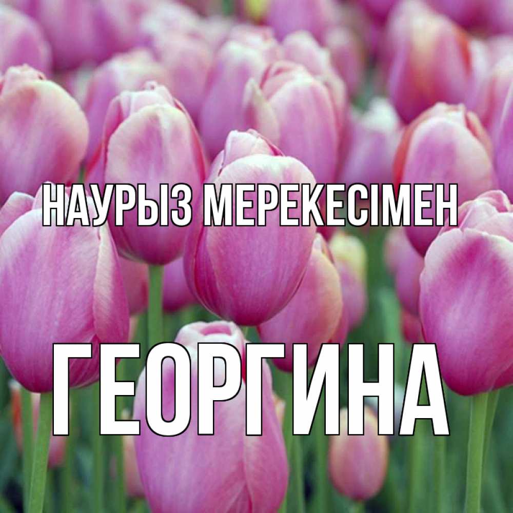 Күн сайын ашық хат с именем, Георгина Наурыз мерекесімен праздник весны наурыз 69 Онлайн тегін жүктеп алу тілектері бар керемет карта 