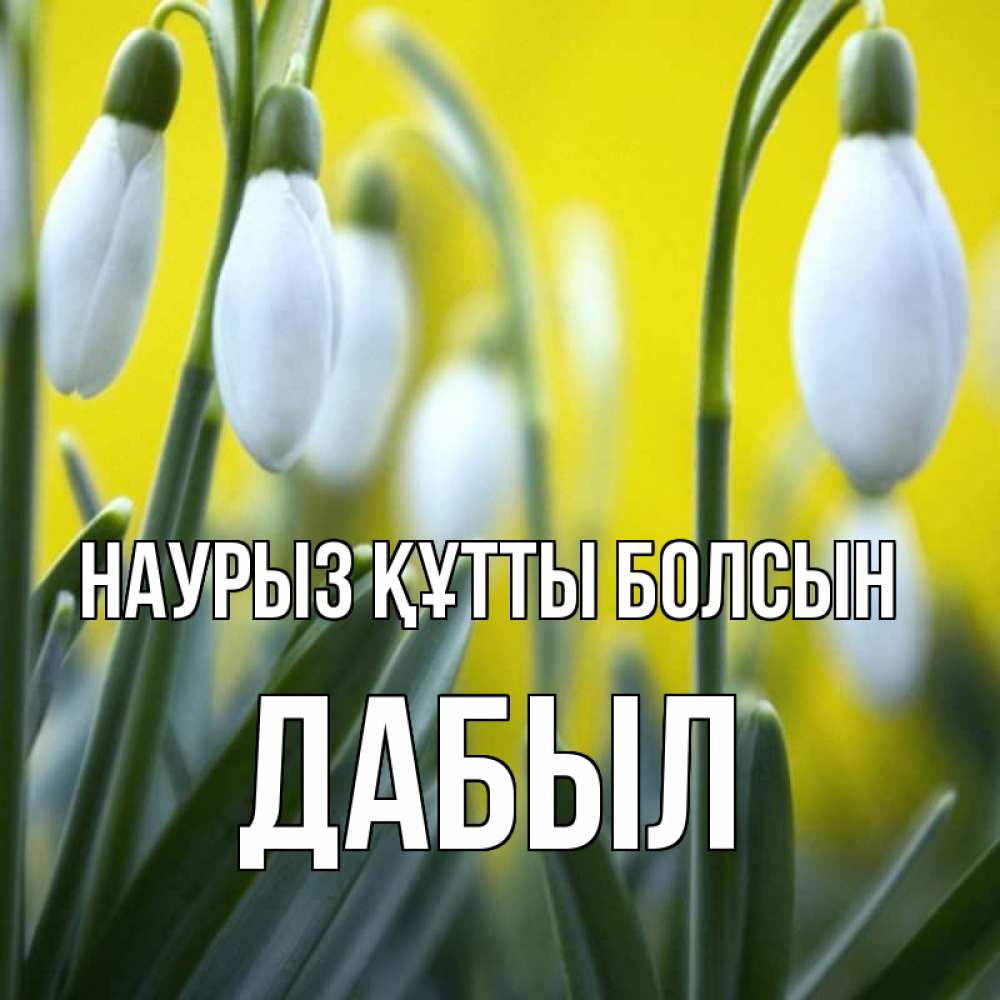 Күн сайын ашық хат с именем, Дабыл Наурыз құтты болсын весенние цветы Онлайн тегін жүктеп алу тілектері бар керемет карта 