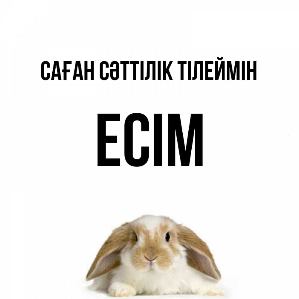 Күн сайын ашық хат с именем, Есім Саған сәттілік тілеймін открытки с произвольным текстом который можно вставить в открытку и создать ее самостоятельно бесплатно онлайн Онлайн тегін жүктеп алу тілектері бар керемет карта 