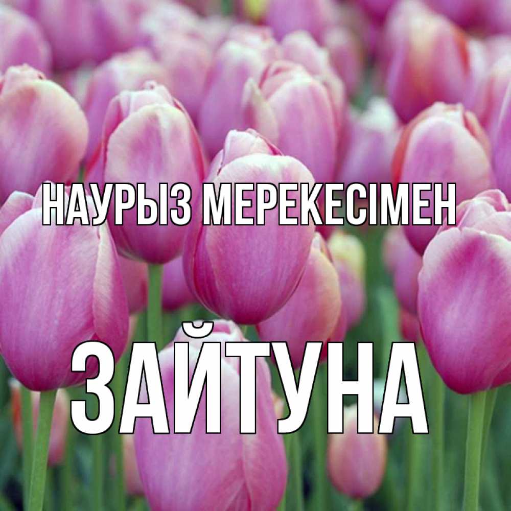 Күн сайын ашық хат с именем, ЗАЙТУНА Наурыз мерекесімен праздник весны наурыз 69 Онлайн тегін жүктеп алу тілектері бар керемет карта 