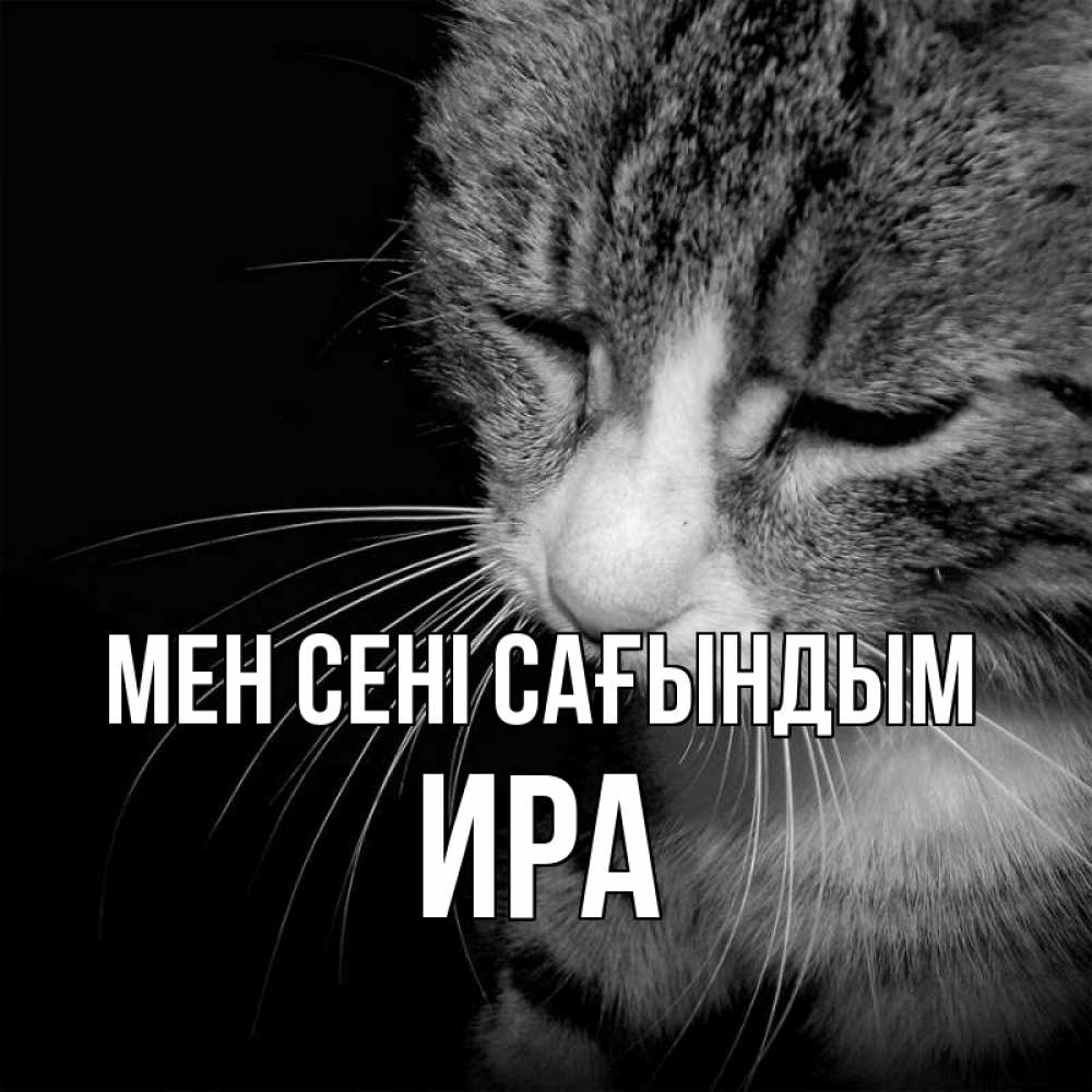Күн сайын ашық хат с именем, Ира Мен сені сағындым мне скучно Онлайн тегін жүктеп алу тілектері бар керемет карта 