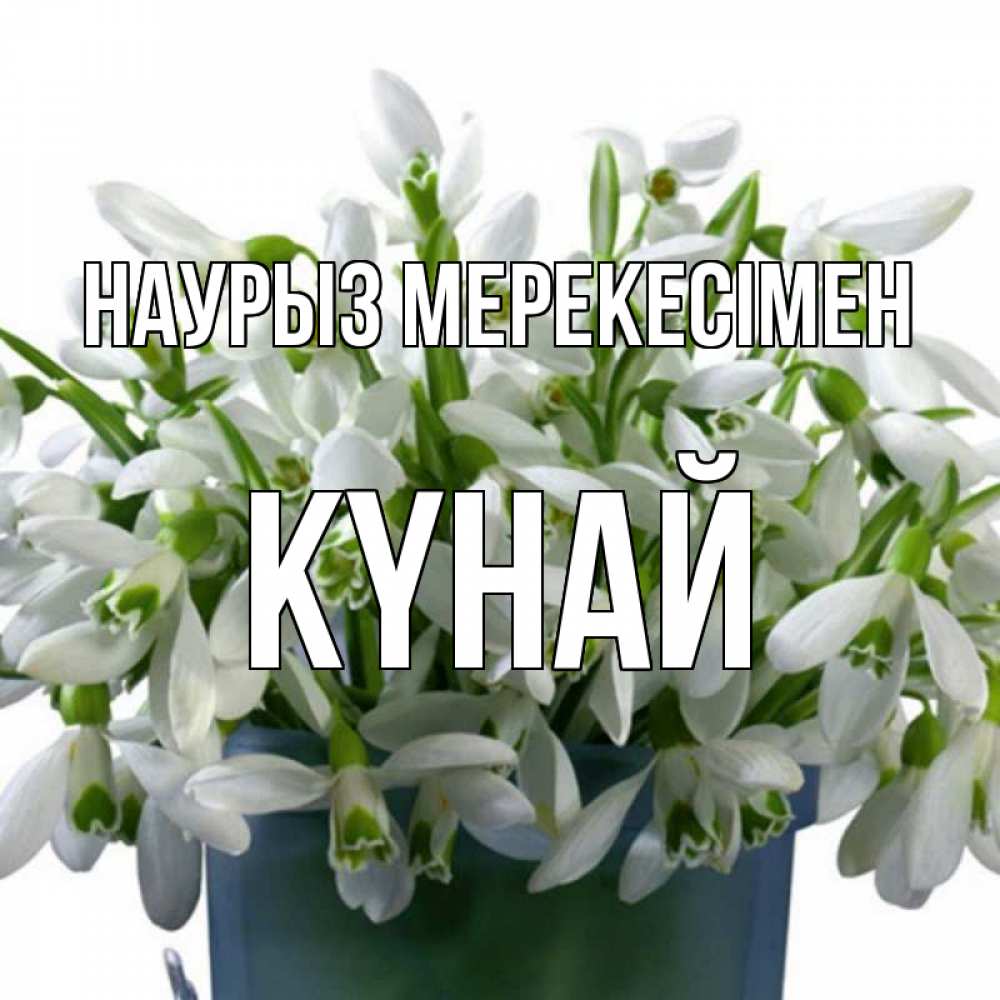 Күн сайын ашық хат с именем, КҮНАЙ Наурыз мерекесімен цветы к наурызу новый год в Казахстане Онлайн тегін жүктеп алу тілектері бар керемет карта 