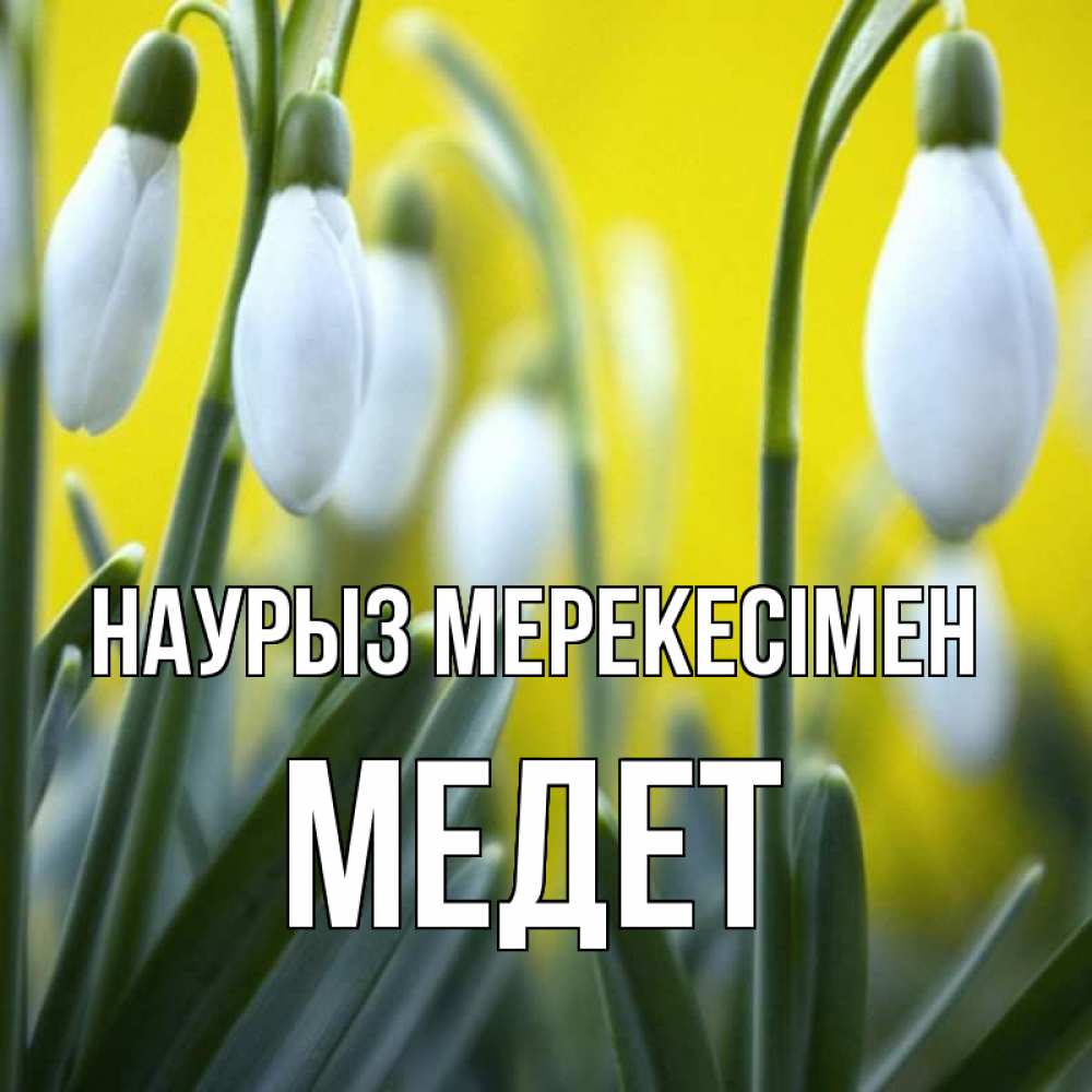 Күн сайын ашық хат с именем, МЕДЕТ Наурыз мерекесімен весенние цветы Онлайн тегін жүктеп алу тілектері бар керемет карта 