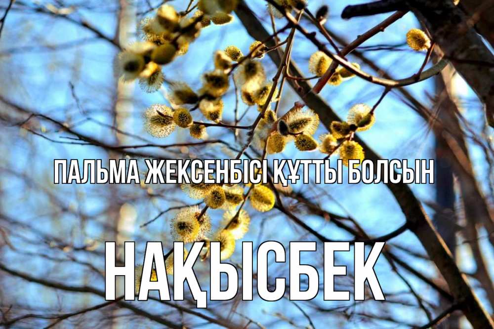 Күн сайын ашық хат с именем, НАҚЫСБЕК Пальма жексенбісі құтты болсын верба Онлайн тегін жүктеп алу тілектері бар керемет карта 