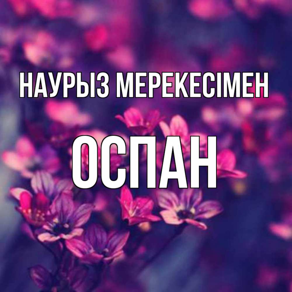 Күн сайын ашық хат с именем, ОСПАН Наурыз мерекесімен небольшие цветы 1 Онлайн тегін жүктеп алу тілектері бар керемет карта 