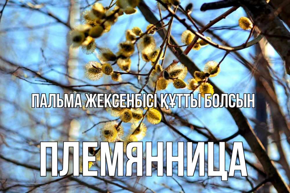 Күн сайын ашық хат с именем, Племянница Пальма жексенбісі құтты болсын верба Онлайн тегін жүктеп алу тілектері бар керемет карта 