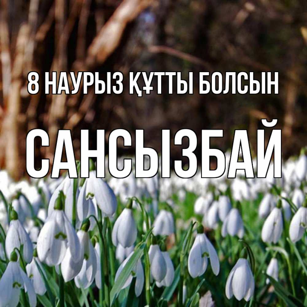 Күн сайын ашық хат с именем, САНСЫЗБАЙ 8 наурыз құтты болсын с подснежниками 1 Онлайн тегін жүктеп алу тілектері бар керемет карта 