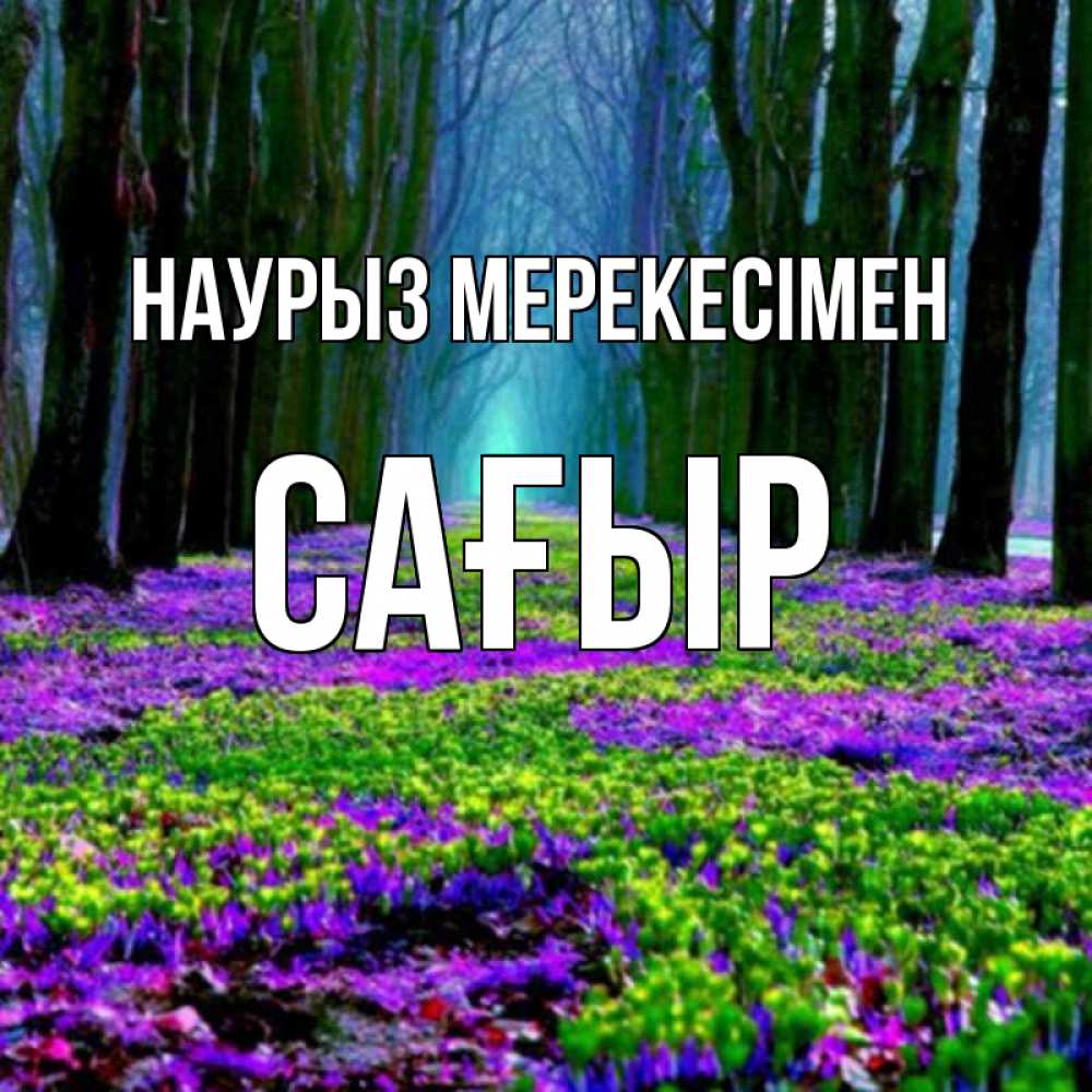 Күн сайын ашық хат с именем, САҒЫР Наурыз мерекесімен фиолетовые цветы в лесу 1 Онлайн тегін жүктеп алу тілектері бар керемет карта 