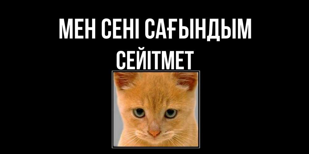 Күн сайын ашық хат с именем, СЕЙІТМЕТ Мен сені сағындым открытки рыжий котенок скучает по тебе Онлайн тегін жүктеп алу тілектері бар керемет карта 