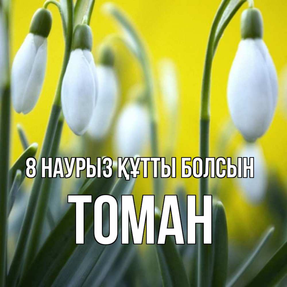 Күн сайын ашық хат с именем, ТОМАН 8 наурыз құтты болсын весенние цветы Онлайн тегін жүктеп алу тілектері бар керемет карта 