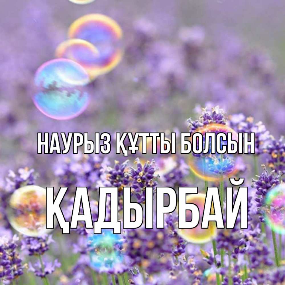 Күн сайын ашық хат с именем, Қадырбай Наурыз құтты болсын цветы Онлайн тегін жүктеп алу тілектері бар керемет карта 