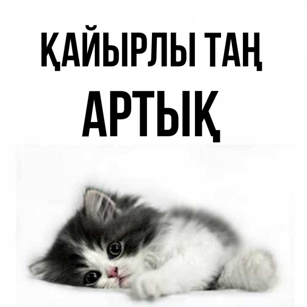Күн сайын ашық хат с именем, Артық Қайырлы таң кот лапки Онлайн тегін жүктеп алу тілектері бар керемет карта 