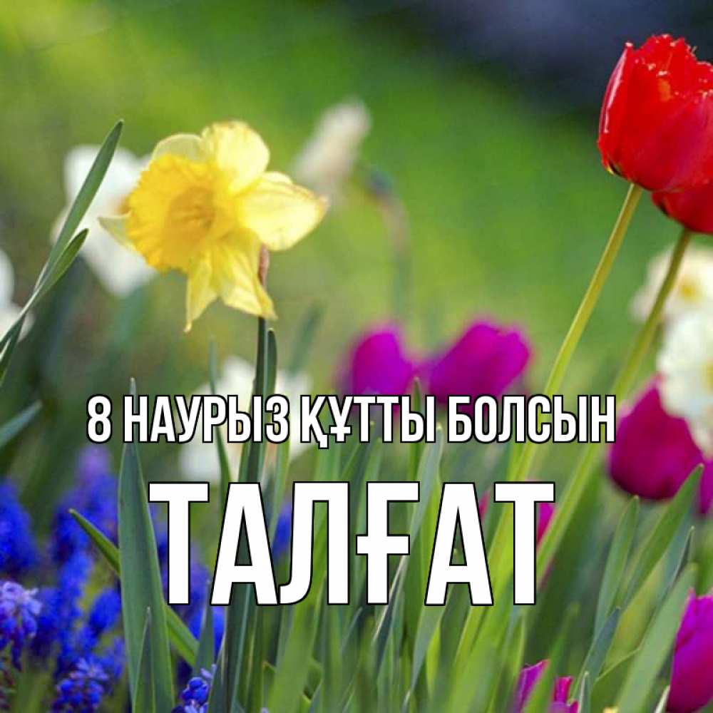 Күн сайын ашық хат с именем, ТАЛҒАТ 8 наурыз құтты болсын международный женский день 3 Онлайн тегін жүктеп алу тілектері бар керемет карта 