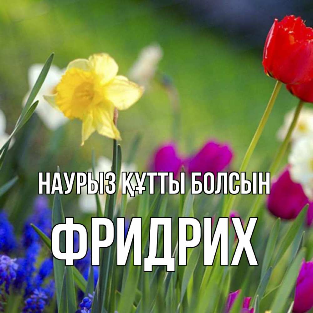 Күн сайын ашық хат с именем, Фридрих Наурыз құтты болсын наурыз  3 открытки Онлайн тегін жүктеп алу тілектері бар керемет карта 