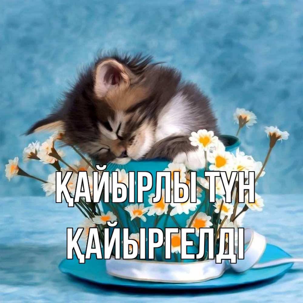 Күн сайын ашық хат с именем, Қайыргелді Қайырлы түн котенок спит в кружке с блюдцем Онлайн тегін жүктеп алу тілектері бар керемет карта 