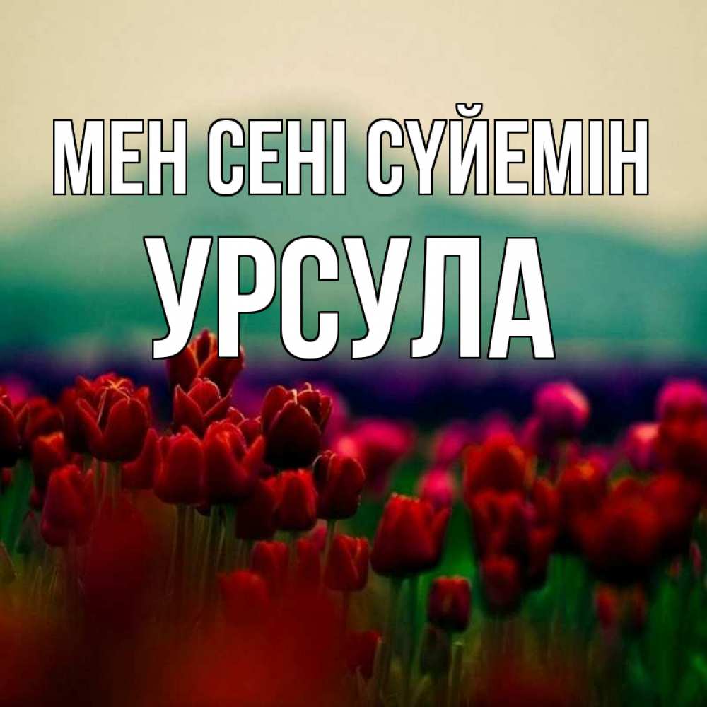 Күн сайын ашық хат с именем, Урсула Мен сені сүйемін тюльпаны 4 Онлайн тегін жүктеп алу тілектері бар керемет карта 