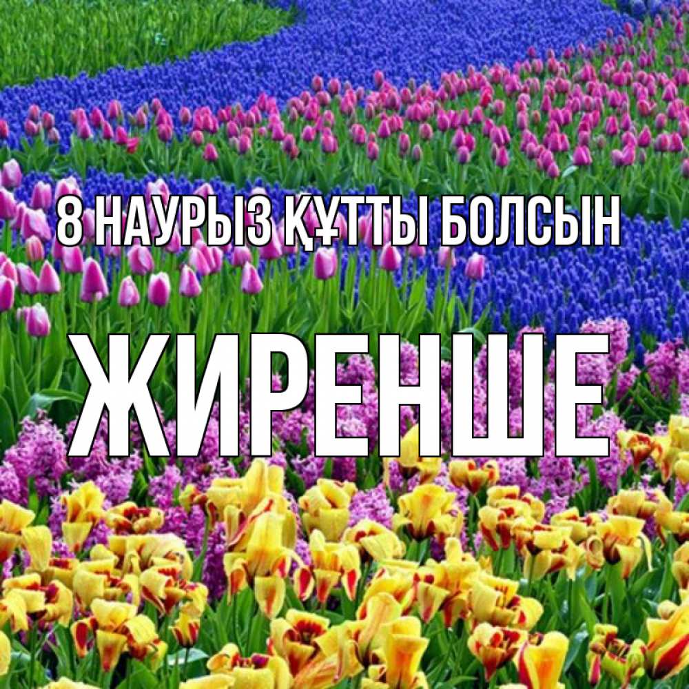 Күн сайын ашық хат с именем, Жиренше 8 наурыз құтты болсын цветы Онлайн тегін жүктеп алу тілектері бар керемет карта 