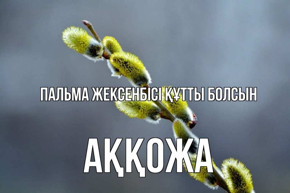 Күн сайын ашық хат с именем, Аққожа Пальма жексенбісі құтты болсын верба Онлайн тегін жүктеп алу тілектері бар керемет карта 