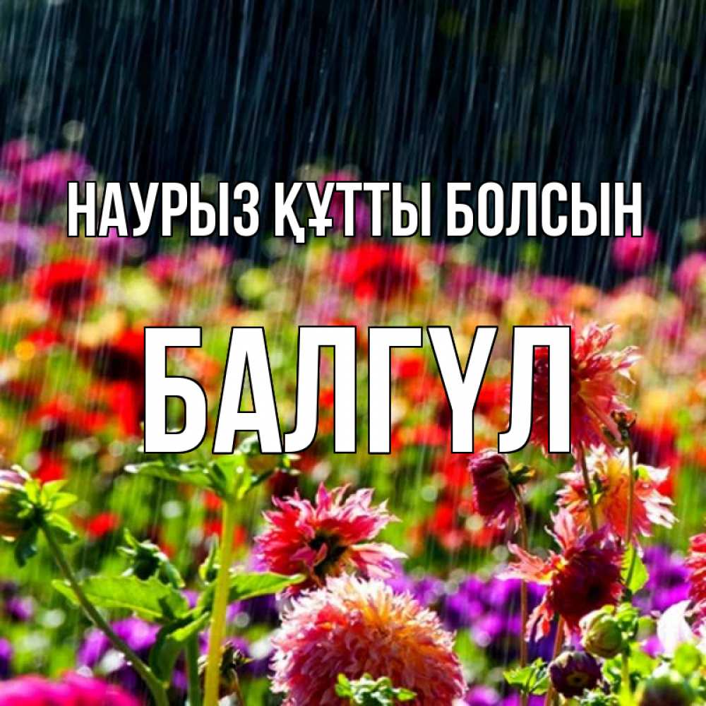 Күн сайын ашық хат с именем, БАЛГҮЛ Наурыз құтты болсын цветы под дождиком к наурызу Онлайн тегін жүктеп алу тілектері бар керемет карта 