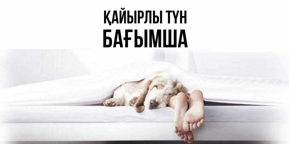 Күн сайын ашық хат с именем, БАҒЫМША Қайырлы түн кровать с собакой пожелание сладких снов и спокойной ночи Онлайн тегін жүктеп алу тілектері бар керемет карта 