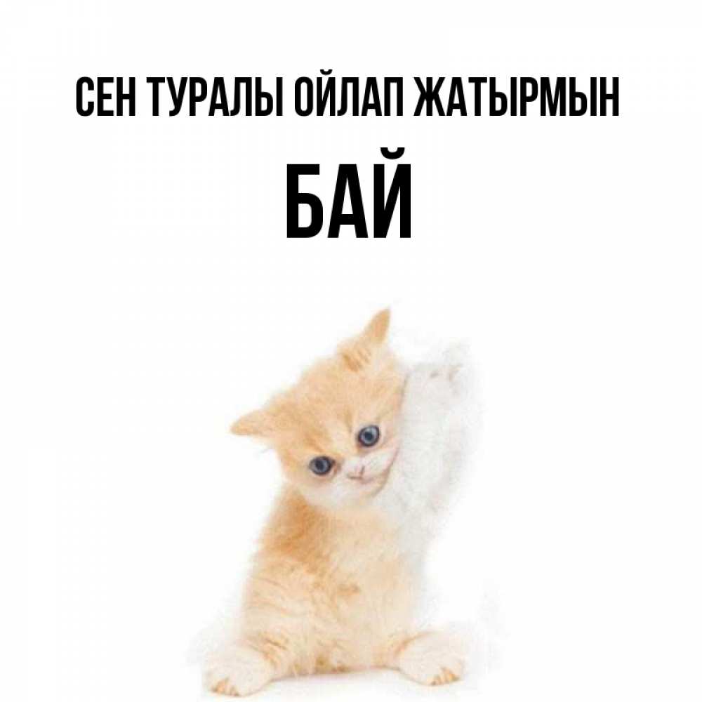 Күн сайын ашық хат с именем, Бай Сен туралы ойлап жатырмын зверушки и милота Онлайн тегін жүктеп алу тілектері бар керемет карта 