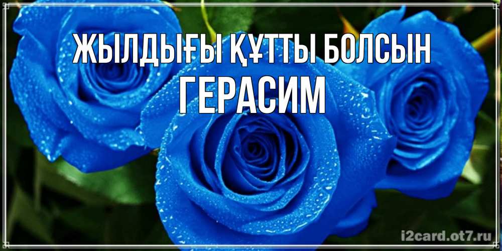Күн сайын ашық хат с именем, Герасим Жылдығы құтты болсын розы с синим цветом Онлайн тегін жүктеп алу тілектері бар керемет карта 
