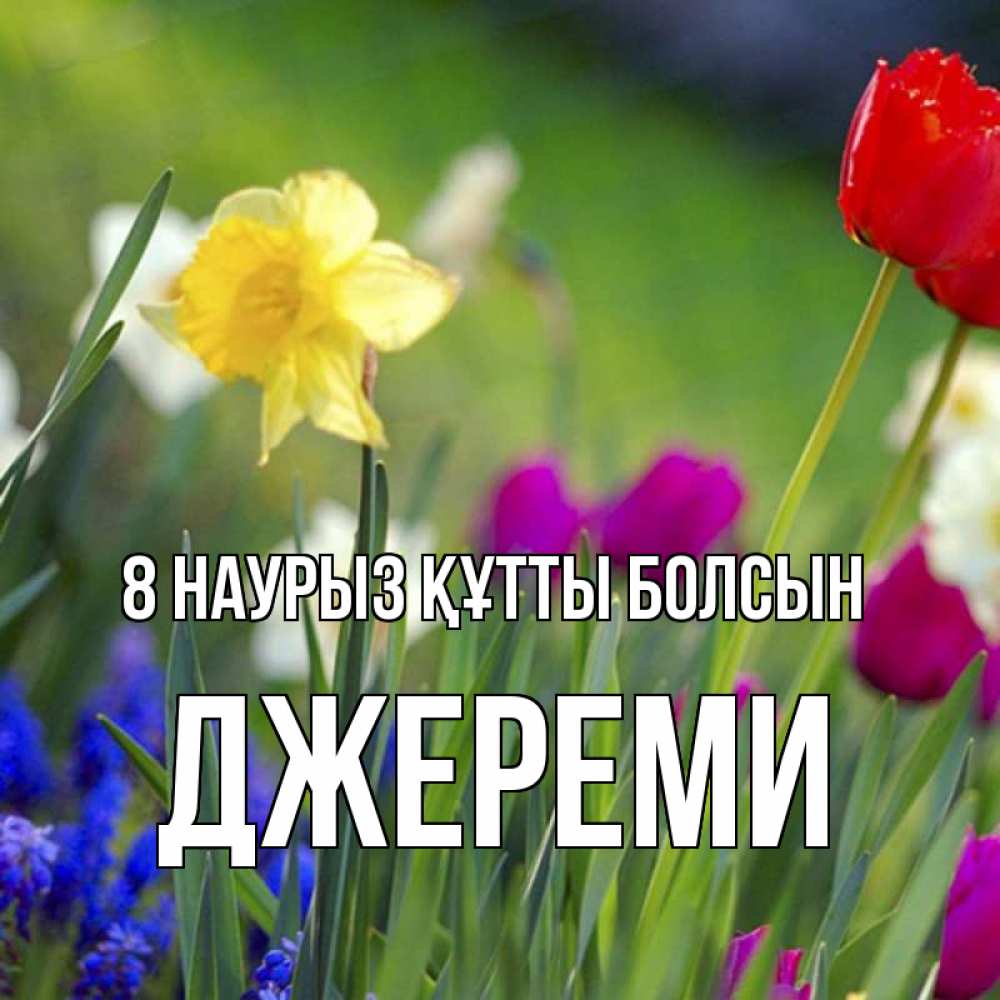 Күн сайын ашық хат с именем, Джереми 8 наурыз құтты болсын международный женский день 3 Онлайн тегін жүктеп алу тілектері бар керемет карта 