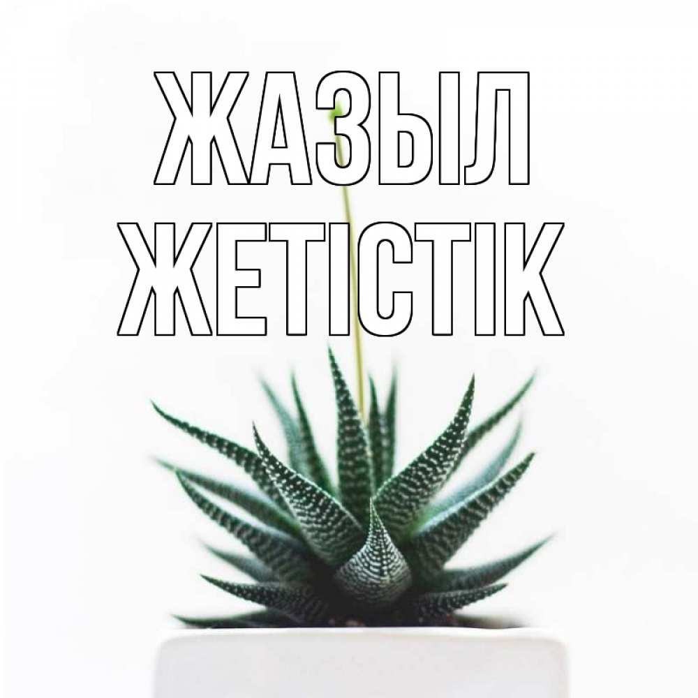 Күн сайын ашық хат с именем, Жетістік Жазыл короче это непонятная колючка Онлайн тегін жүктеп алу тілектері бар керемет карта 