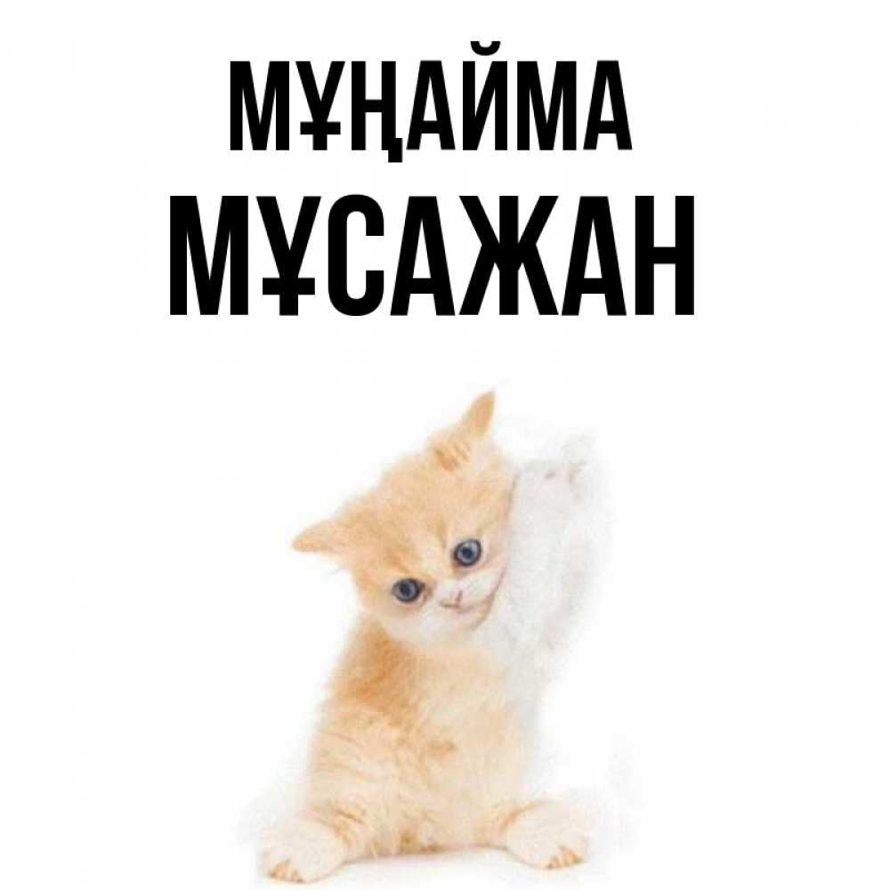 Күн сайын ашық хат с именем, Мұсажан Мұңайма просящий кот Онлайн тегін жүктеп алу тілектері бар керемет карта 