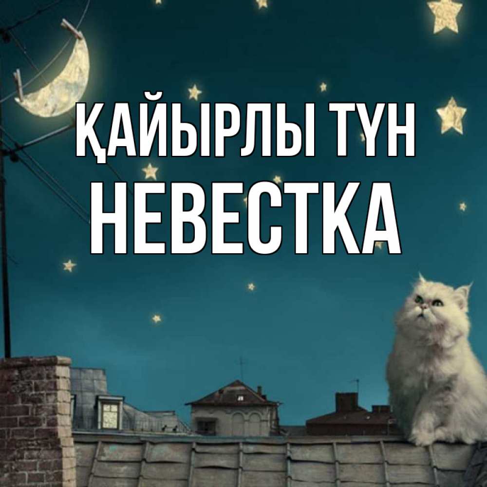Күн сайын ашық хат с именем, Невестка Қайырлы түн белый кот сидит на крыше Онлайн тегін жүктеп алу тілектері бар керемет карта 