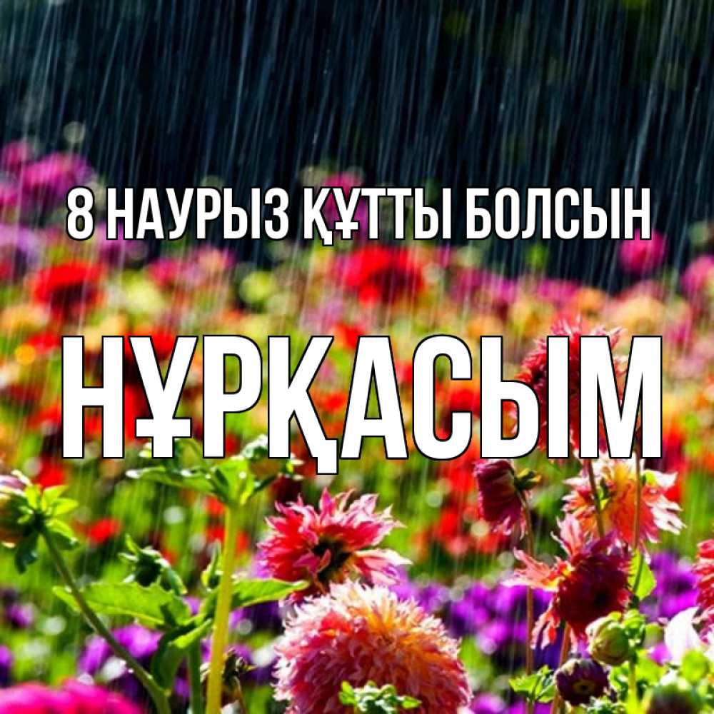 Күн сайын ашық хат с именем, НҰРҚАСЫМ 8 наурыз құтты болсын цветы под дождиком к международному женскому дню Онлайн тегін жүктеп алу тілектері бар керемет карта 