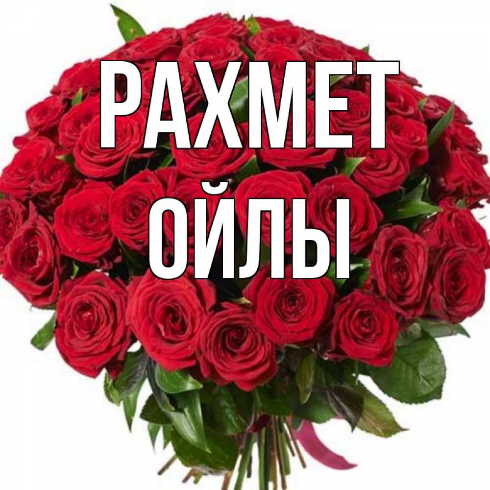 Күн сайын ашық хат с именем, ОЙЛЫ рахмет букет красных роз Онлайн тегін жүктеп алу тілектері бар керемет карта 