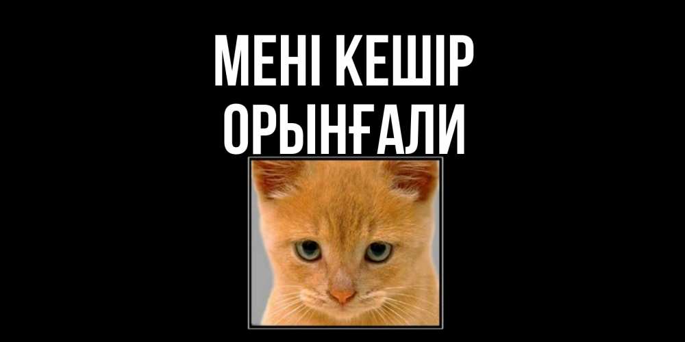 Күн сайын ашық хат с именем, ОРЫНҒАЛИ Мені кешір рыжий грустный кот просит прощения Онлайн тегін жүктеп алу тілектері бар керемет карта 
