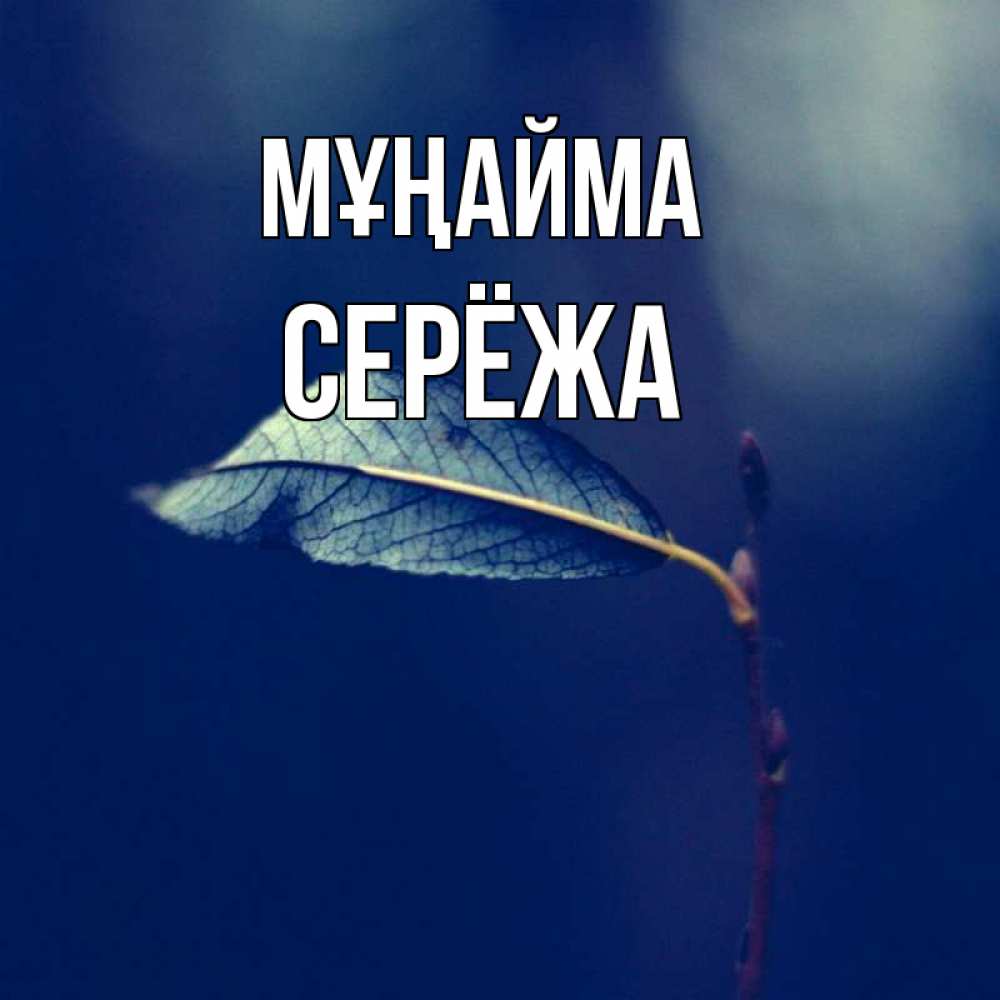 Күн сайын ашық хат с именем, Серёжа Мұңайма растение Онлайн тегін жүктеп алу тілектері бар керемет карта 