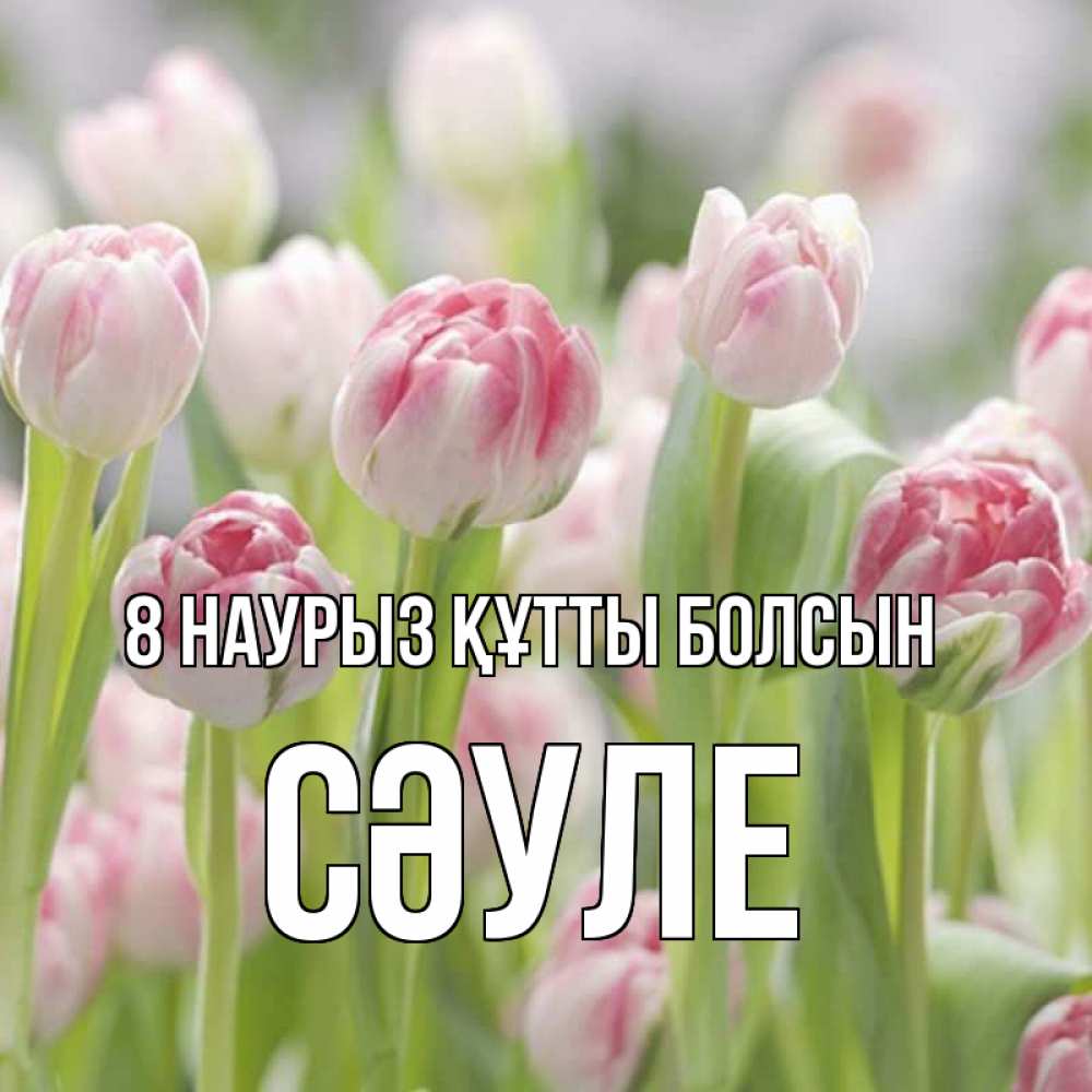Күн сайын ашық хат с именем, СӘУЛЕ 8 наурыз құтты болсын цветы Онлайн тегін жүктеп алу тілектері бар керемет карта 