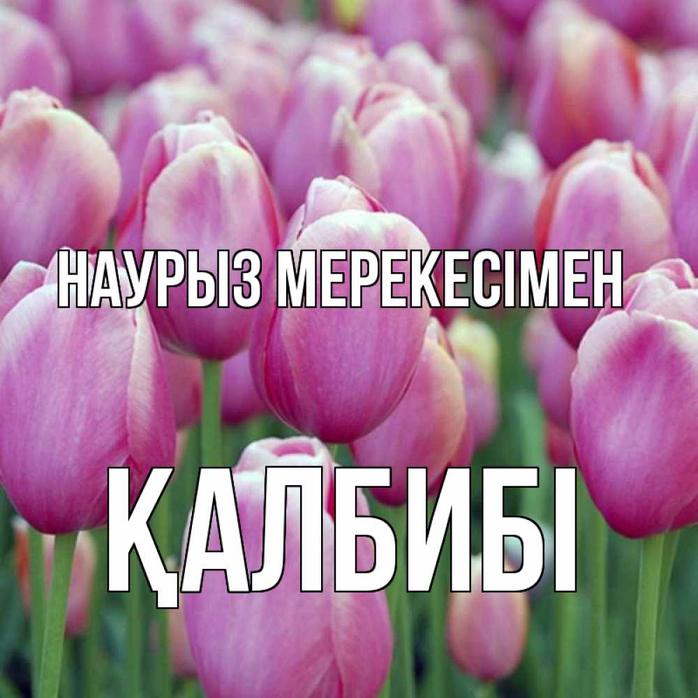 Күн сайын ашық хат с именем, ҚАЛБИБІ Наурыз мерекесімен праздник весны наурыз 69 Онлайн тегін жүктеп алу тілектері бар керемет карта 