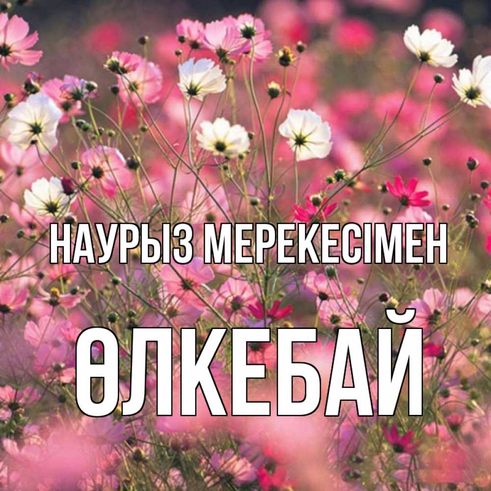 Күн сайын ашық хат с именем, ӨЛКЕБАЙ Наурыз мерекесімен красиво 1 Онлайн тегін жүктеп алу тілектері бар керемет карта 
