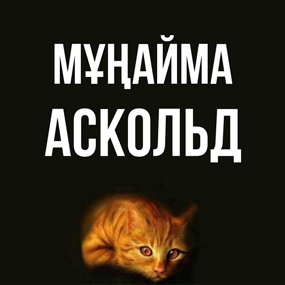 Күн сайын ашық хат с именем, Аскольд Мұңайма лежащий кот в темноте Онлайн тегін жүктеп алу тілектері бар керемет карта 