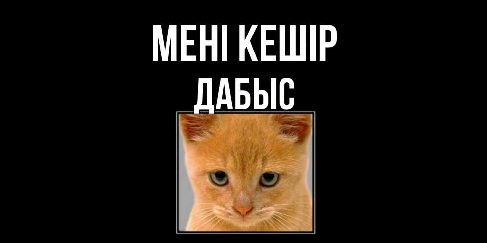 Күн сайын ашық хат с именем, Дабыс Мені кешір рыжий грустный кот просит прощения Онлайн тегін жүктеп алу тілектері бар керемет карта 